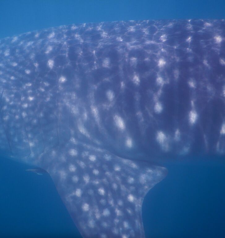 57d7ba28-4ff8-41f9-9850-1539f7ae791f