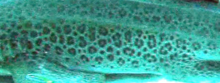 0df10ea0-0132-4933-8d43-f7fec24835c4