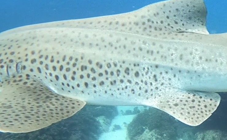 d0523cb8-6d12-4bd6-a78f-febfcf19ce3b