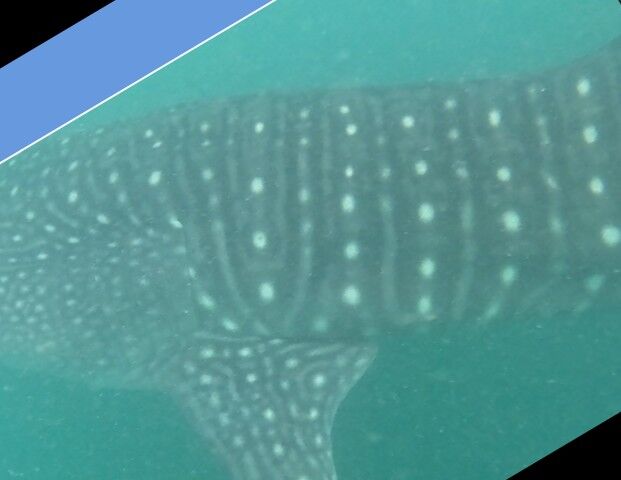 e8ac1942-af05-4ce7-87ba-1cff3e737f03