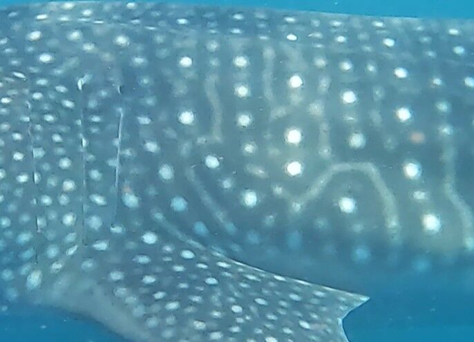 d3da3c36-7158-4249-977a-f27c2405115c