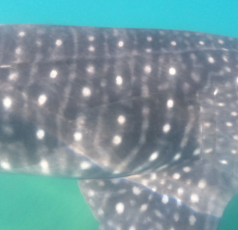 5dd283a4-b025-4b58-a210-67b868a82490