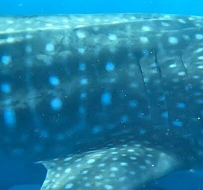 007a2172-a617-48fe-acd0-49b6ecc0b078