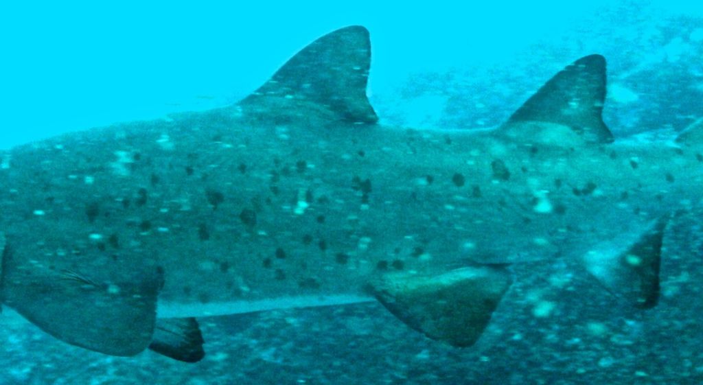 63aa5359-f689-48e1-8f98-35074a2dccdc