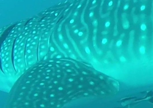 8fc39202-c387-4309-9a70-cc07d5106c1d