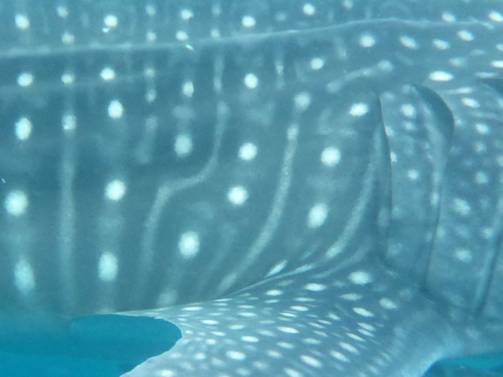 017a9fb6-bb2c-4353-aa4d-626c42c61671