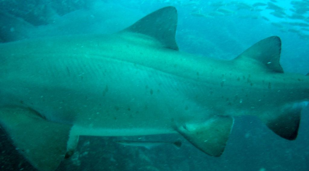 c51cea77-9e0c-42a5-bb42-6d58c96ce4ed