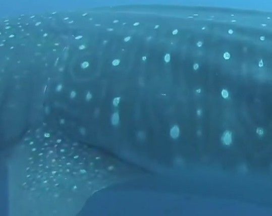 32a23f72-9acf-4cb2-a746-475775b52abe