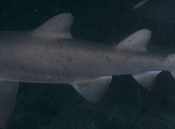 db2bb77a-1d10-41ad-ba06-79e49045cbe5