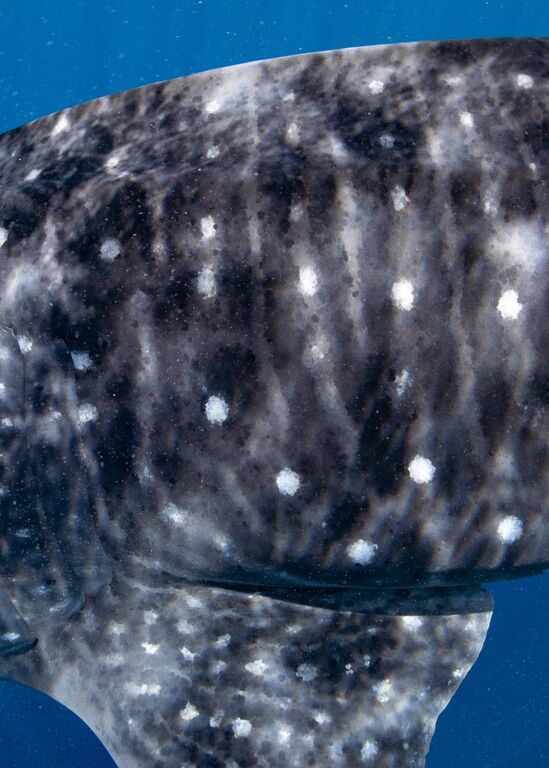 004890be-f717-476c-bbc2-11e1d4a9f864