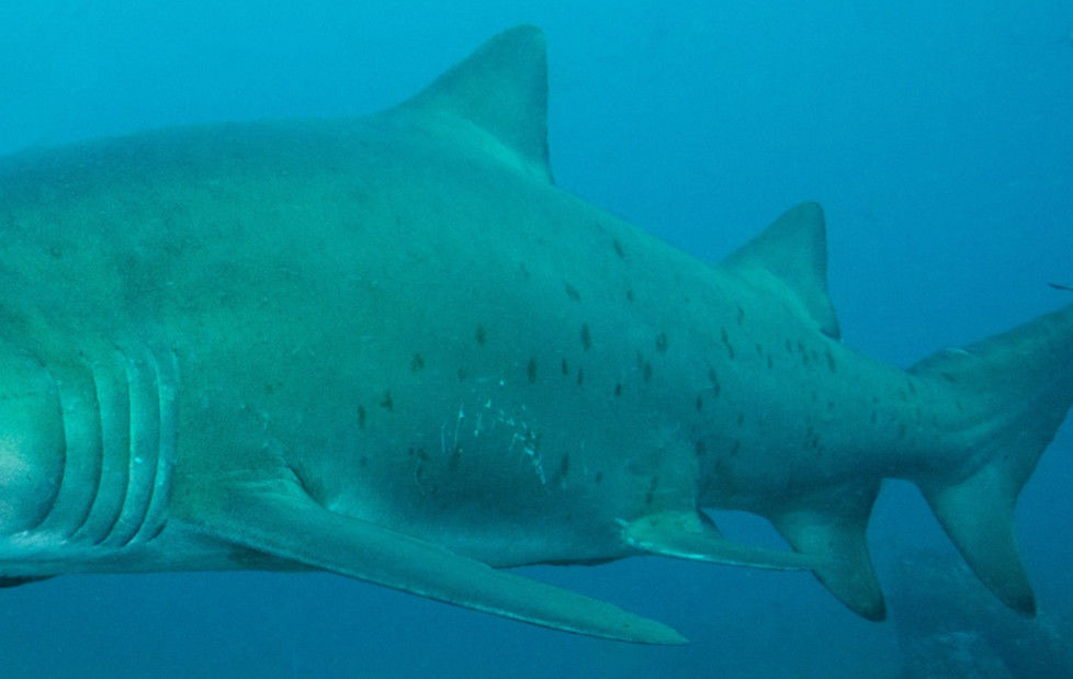 f7673817-7abc-4d58-9bc8-94002ba4260c