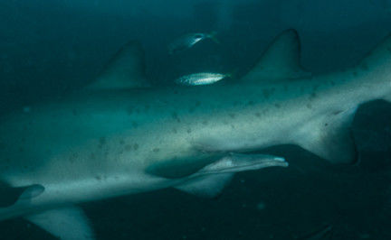 6abf613a-4f84-4d69-a169-6883235f38d4