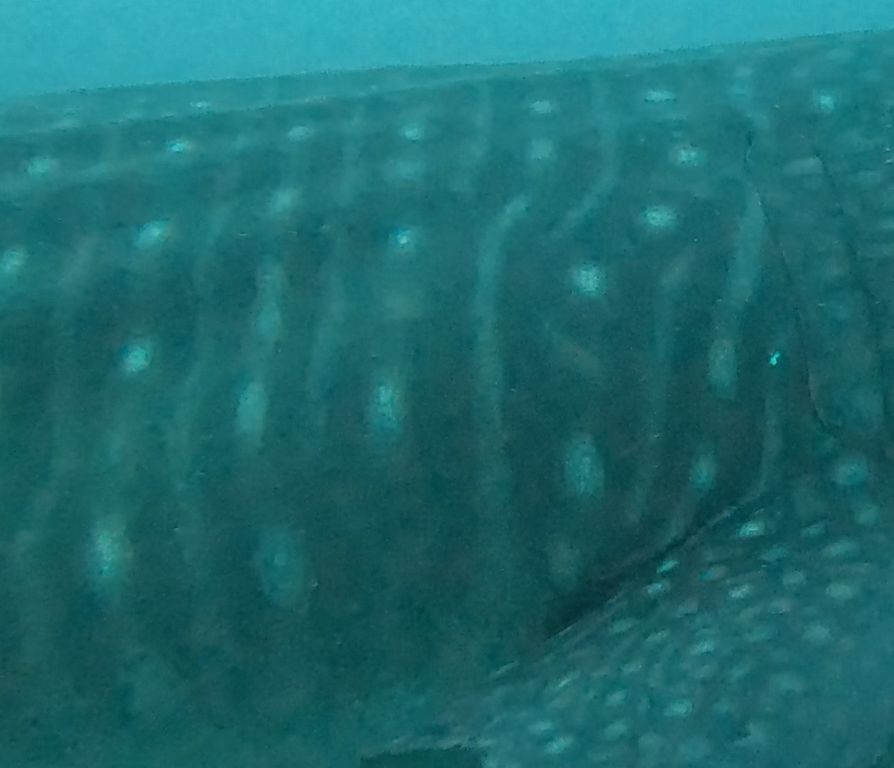 366cb017-7186-4600-b11b-6fc3ef34828e