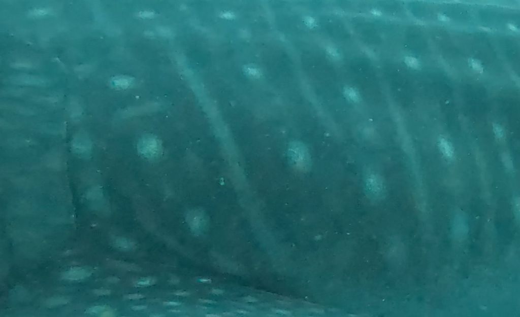 366cb017-7186-4600-b11b-6fc3ef34828e