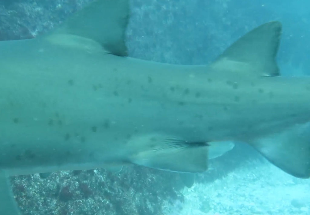 66924c5d-465a-4000-9d20-076a48371caa