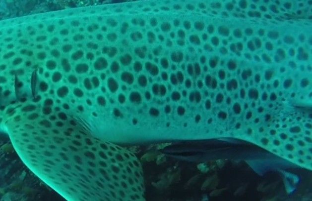 b5f15f28-d230-4aae-85e2-a727987173dc