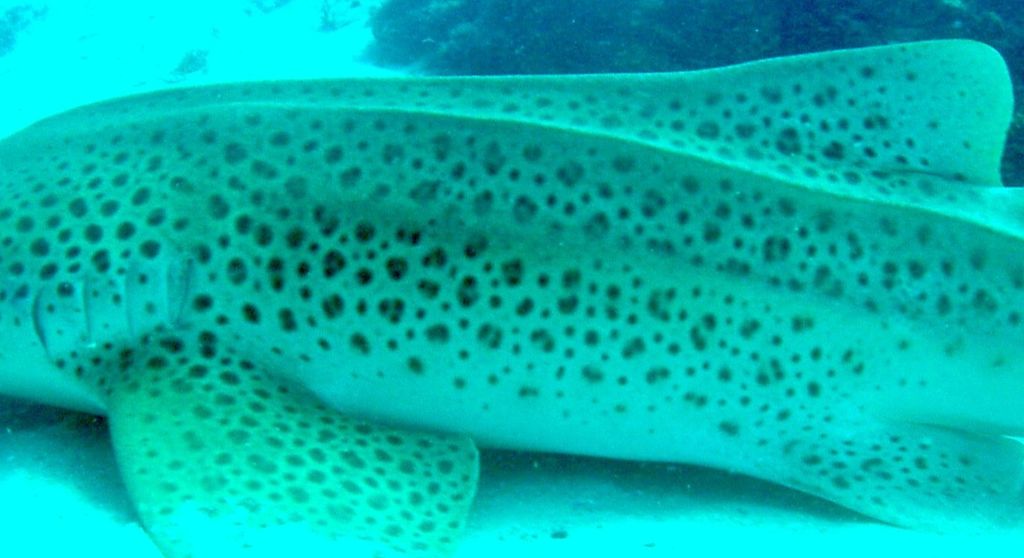 6ea09f37-5e64-40ec-b651-61a9cd1df5cf