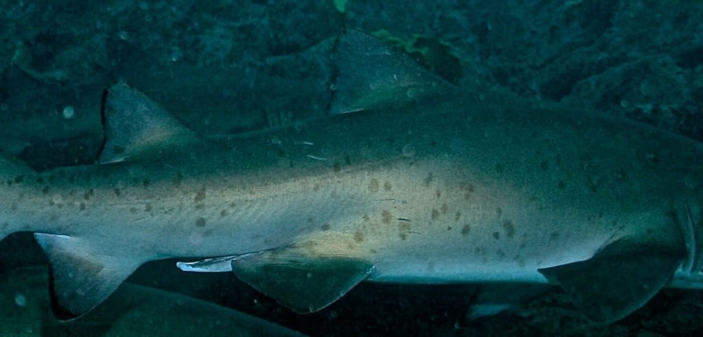 69b89900-4654-4b07-b80d-730104071037