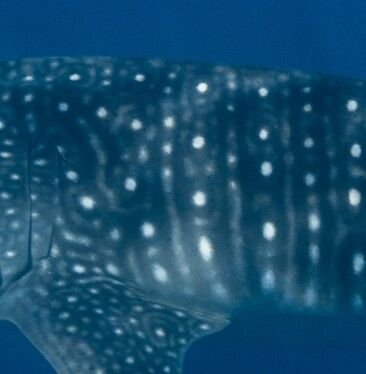 d946f259-66ff-4c44-8b53-76282bcf73fe