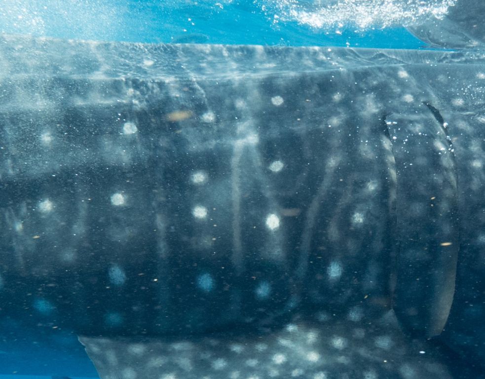 b8a28f9e-923b-4c2b-930d-2a2513a07c69