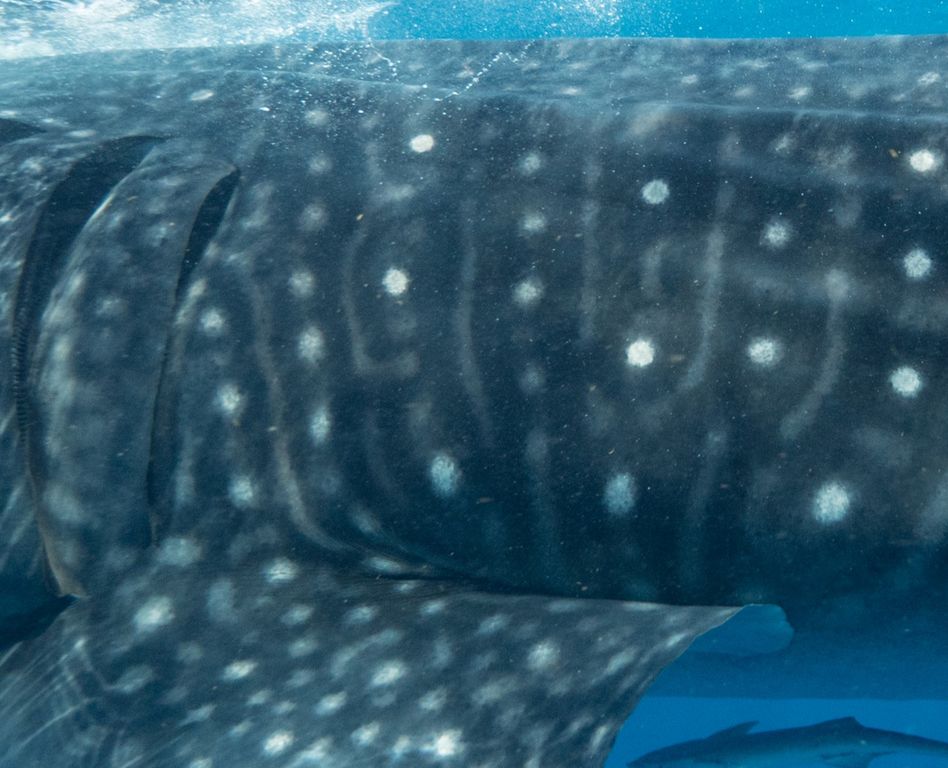 b8a28f9e-923b-4c2b-930d-2a2513a07c69