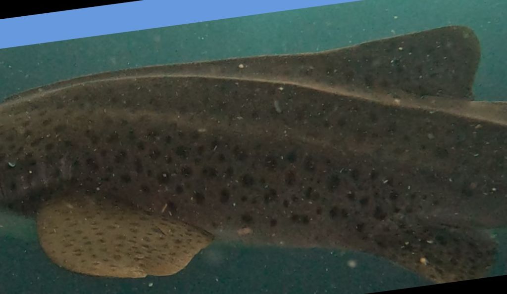 c9420929-3b19-43ae-b547-5540040499ed