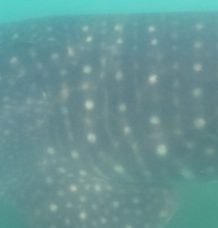 a77828aa-1640-4d3d-b8e6-88efcc88c2ba