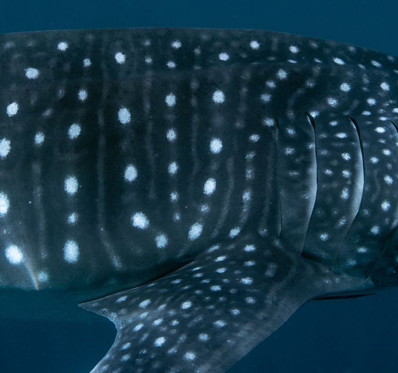 58296a3c-927e-4162-9547-87e2ac8c61f4