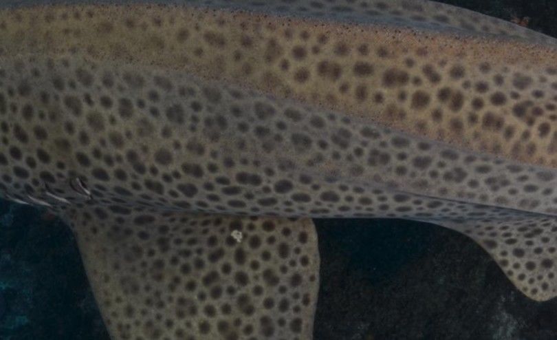 c0bd529d-f566-4e18-ab5e-e0db5e2885d9