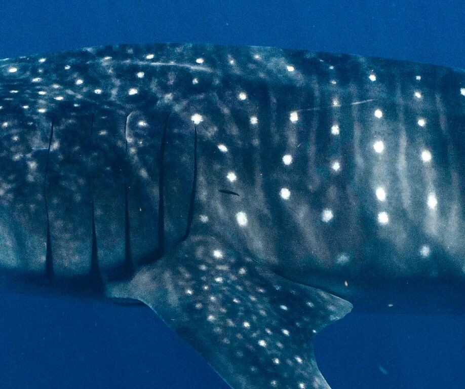 c3a0ff28-fcfd-4a7f-b4fa-f139b9632db1