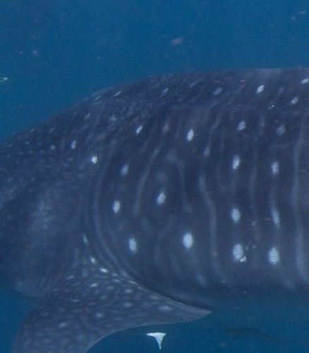 21aedc2a-5c87-400c-9bf3-6caa057ee723