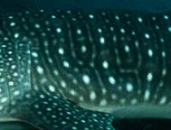 9e5ac123-d0a4-476e-9fa3-24e033610c35