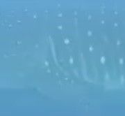 c21e8180-cbd8-4bef-b9ce-15cb30fb72f9