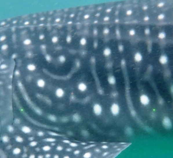 dccc5ac3-7da5-4cc5-a53a-f8f0f1345831