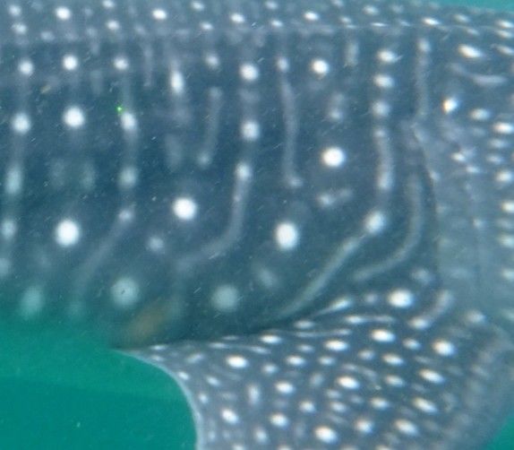 dccc5ac3-7da5-4cc5-a53a-f8f0f1345831