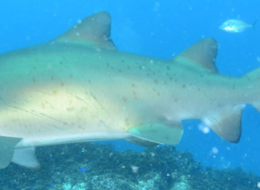 105642f2-2477-41dd-ad4c-fba165722d57