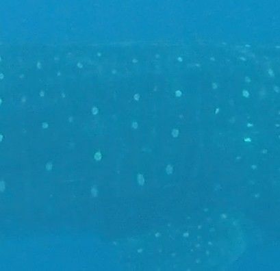 bf128b09-5cf2-4fa4-9528-40de4fb77537