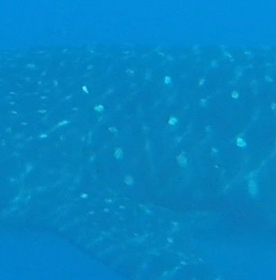 bf128b09-5cf2-4fa4-9528-40de4fb77537