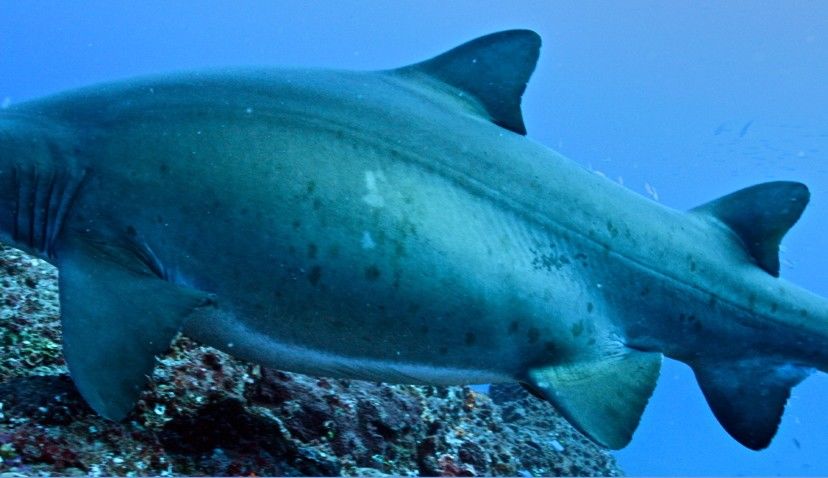 15741e16-81c7-4436-b9ab-e3516e61ee61