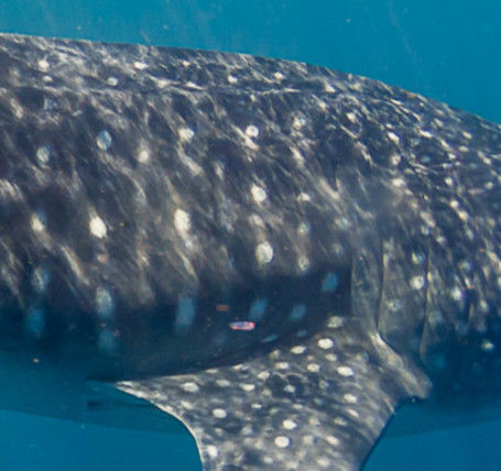 2f0ae6d1-fd34-43dd-9ef9-c59f7f9729fd