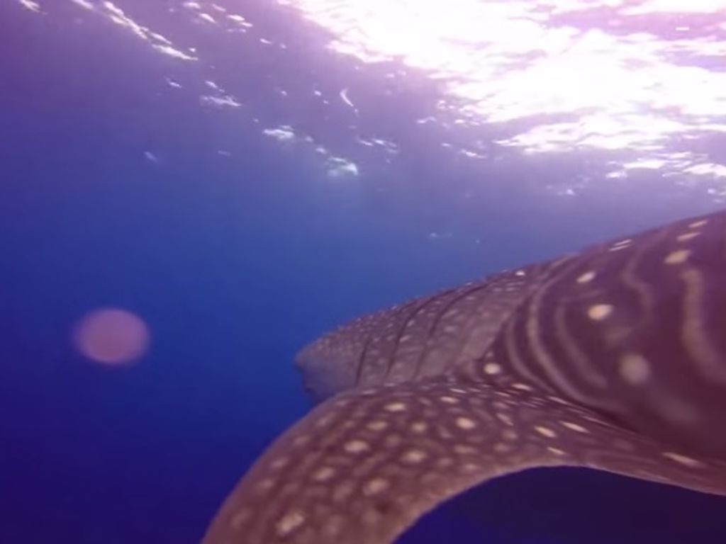 78a762bf-a70e-400a-9a78-bcba96f10d8b