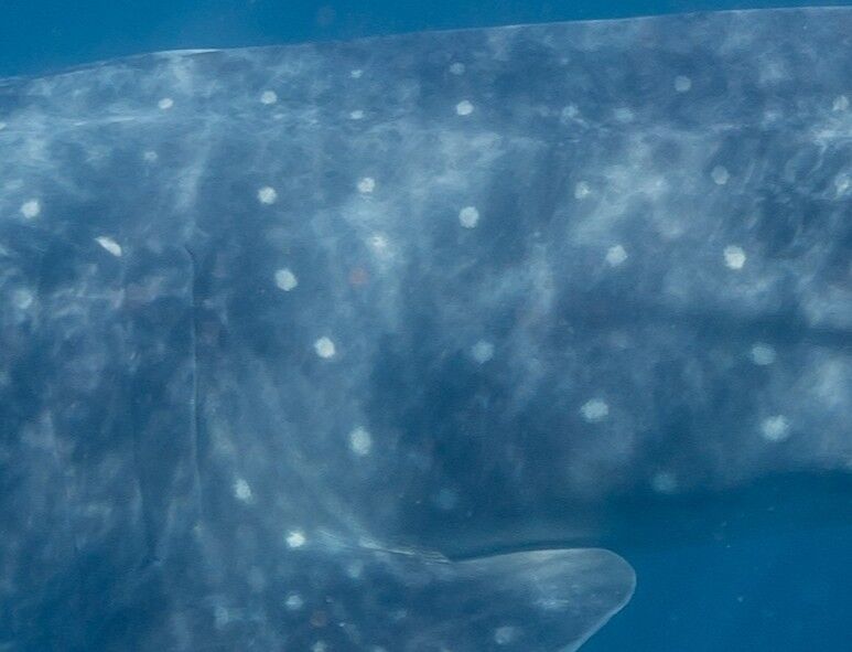 7af9e7cd-7650-462a-b555-3d3a57e1bf21