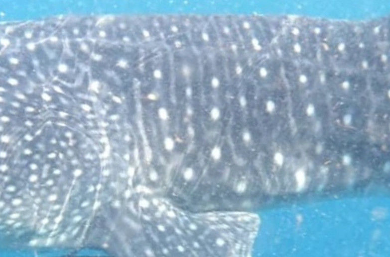 8825e0a2-836e-47c4-a88a-e1a31f75cb38