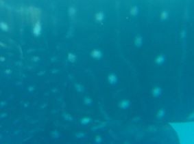 6e93a246-4570-4d8a-9eac-c53b01c33512