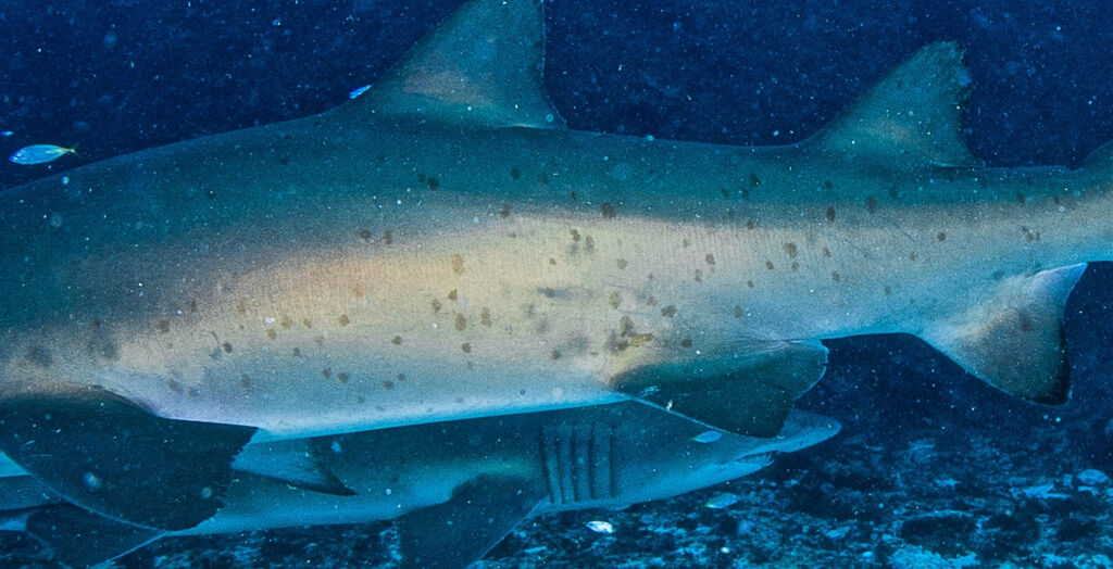 12a0cb56-716b-4ee9-b160-60cbf07b29ec