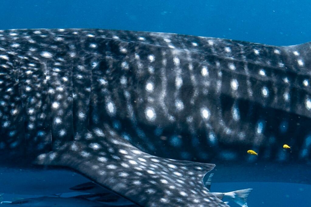 ecefd792-1c7a-4d92-9cae-6b6eb7147085