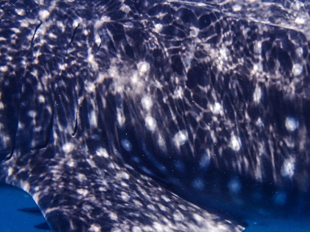 21f57d0e-3f24-43a4-a377-e03db9eb2d5e