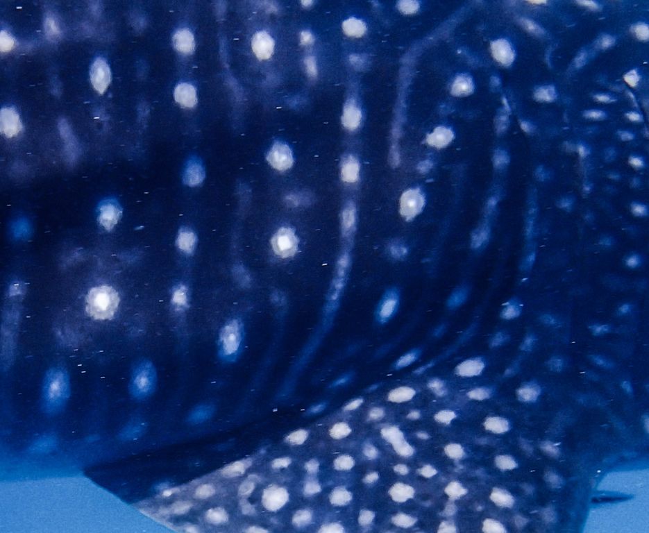 21f57d0e-3f24-43a4-a377-e03db9eb2d5e