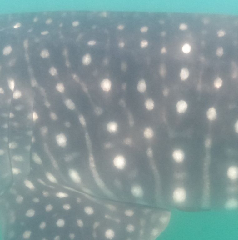 74f0818a-2ff2-4eb6-9899-5effef65965f