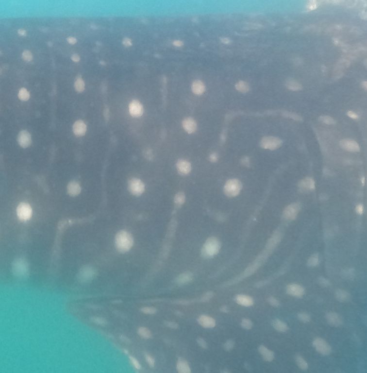 74f0818a-2ff2-4eb6-9899-5effef65965f